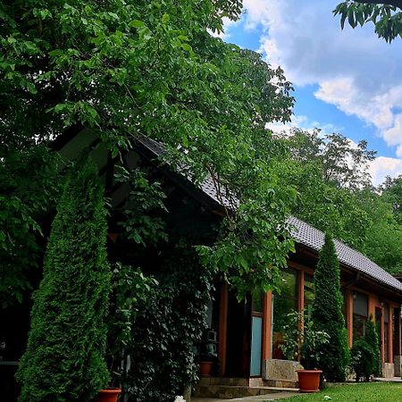 Готель Casa Alex Серата-Монтеору Екстер'єр фото