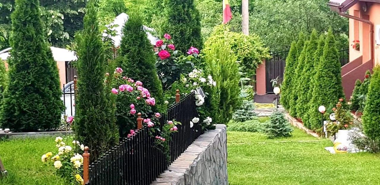 Готель Casa Alex Серата-Монтеору Екстер'єр фото