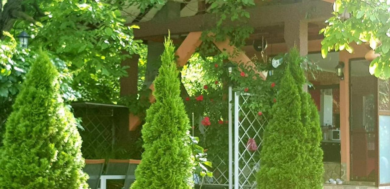 Готель Casa Alex Серата-Монтеору Екстер'єр фото