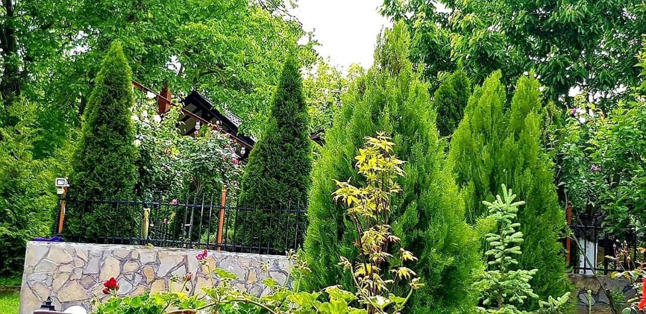 Готель Casa Alex Серата-Монтеору Екстер'єр фото