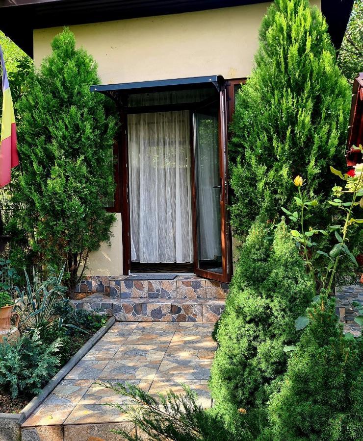 Готель Casa Alex Серата-Монтеору Екстер'єр фото