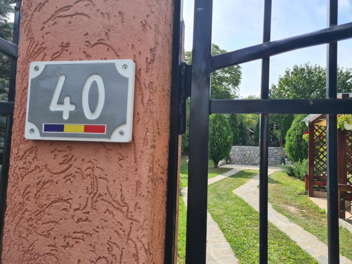Готель Casa Alex Серата-Монтеору Екстер'єр фото