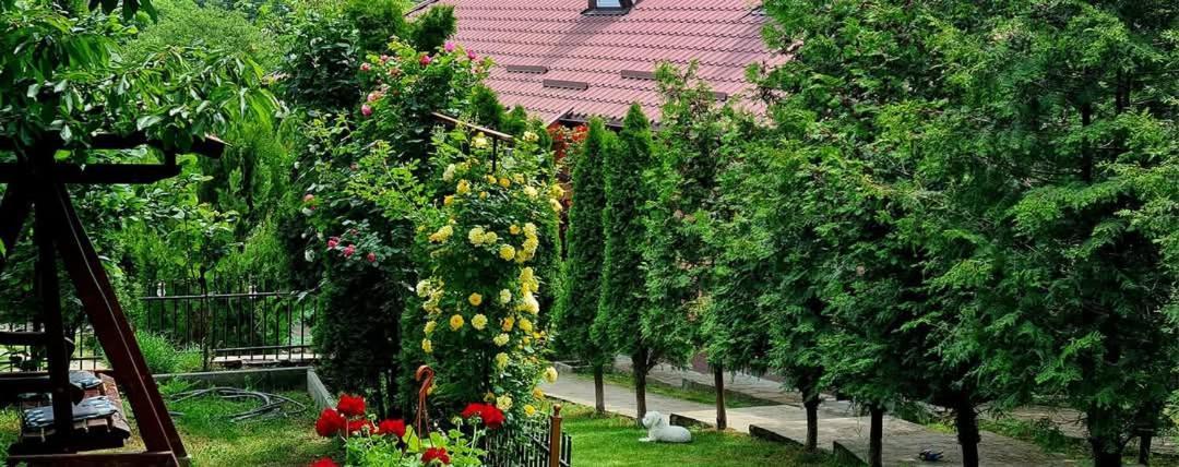 Готель Casa Alex Серата-Монтеору Екстер'єр фото